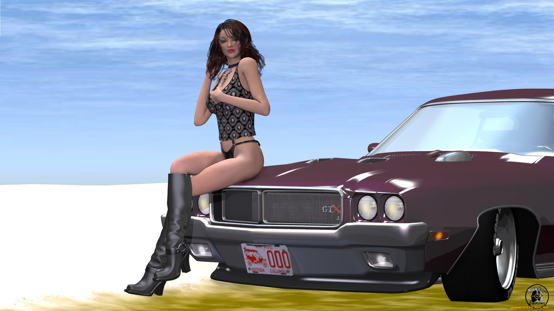 3 , -,  , people- car ,  moto, , , , 